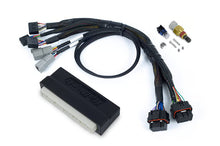 Load image into Gallery viewer, Nexus S2/S3 Plug 'n' Play Adapter Harness Honda EP3