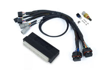 Load image into Gallery viewer, Nexus S3 Plug 'n' Play Adapter Harness Kit - Honda EP3