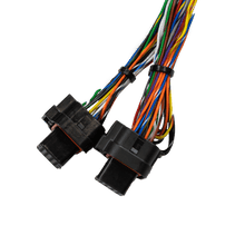 Load image into Gallery viewer, SEADOO FUELTECH