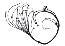 Load image into Gallery viewer, FUELTECH CUSTOM ENGINE WIRING ECU BY C2R