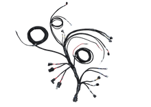 Load image into Gallery viewer, FUELTECH CUSTOM ENGINE WIRING ECU BY C2R