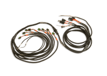 Load image into Gallery viewer, FUELTECH CUSTOM ENGINE WIRING ECU BY C2R