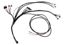 Load image into Gallery viewer, FUELTECH CUSTOM ENGINE WIRING ECU BY C2R