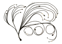 Load image into Gallery viewer, FUELTECH CUSTOM ENGINE WIRING ECU BY C2R