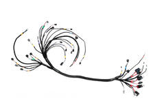 Load image into Gallery viewer, FUELTECH CUSTOM ENGINE WIRING ECU BY C2R