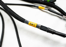 Load image into Gallery viewer, FUELTECH CUSTOM ENGINE WIRING ECU BY C2R