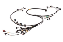 Load image into Gallery viewer, FUELTECH CUSTOM ENGINE WIRING ECU BY C2R