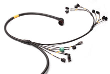 Load image into Gallery viewer, FUELTECH CUSTOM ENGINE WIRING ECU BY C2R