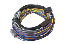 Load image into Gallery viewer, Elite 550 ECU
