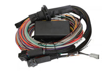 Load image into Gallery viewer, Elite 1500 ECU

