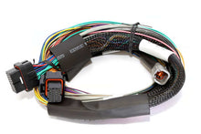 Load image into Gallery viewer, Elite 2500 ECU
