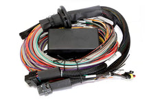 Load image into Gallery viewer, Elite 2500 ECU
