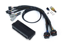 Load image into Gallery viewer, Nexus S2/S3 Plug &#39;n&#39; Play Adapter Harness Honda AP1
