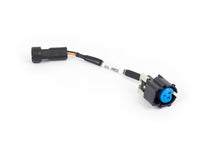 Load image into Gallery viewer, Nexus Rebel LS - Gen IV Oil pressure sensor adaptor harness
