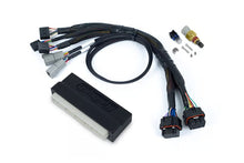 Load image into Gallery viewer, Nexus S3 Plug &#39;n&#39; Play Adapter Harness Kit - Honda DC5
