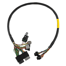 Load image into Gallery viewer, SEADOO FUELTECH
