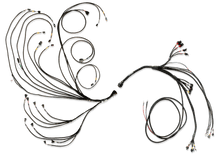 Load image into Gallery viewer, FUELTECH CUSTOM ENGINE WIRING ECU BY C2R
